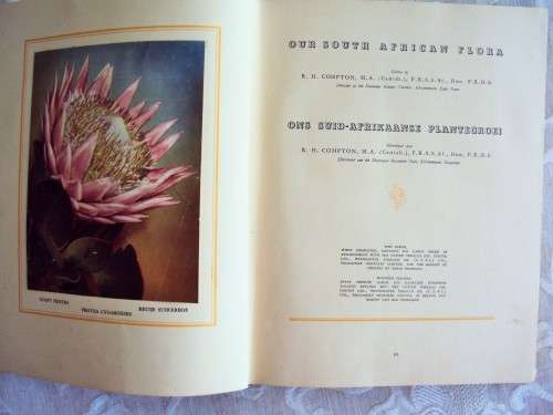 Our South African Flora complete 100 cigarette cards Foreward by R. Compton *firmly bound