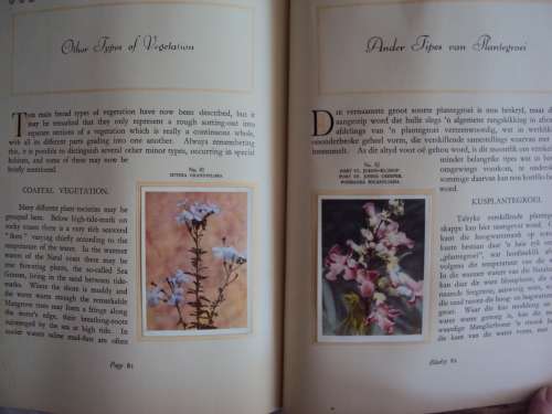 Our South African Flora complete 100 cigarette cards Foreward by R. Compton *firmly bound