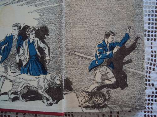 FIVE HAVE PLENTY OF FUN Enid Blyton - FIRST PRINT 1955 firmly bound, spine tape & prev owner 183pgs