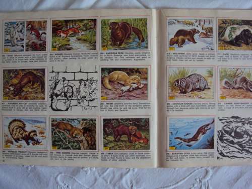 MAMMALS 1978 Vintage Panini Sticker album Complete firmly bound soft cover booklet