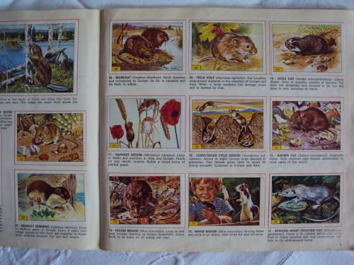 MAMMALS 1978 Vintage Panini Sticker album Complete firmly bound soft cover booklet