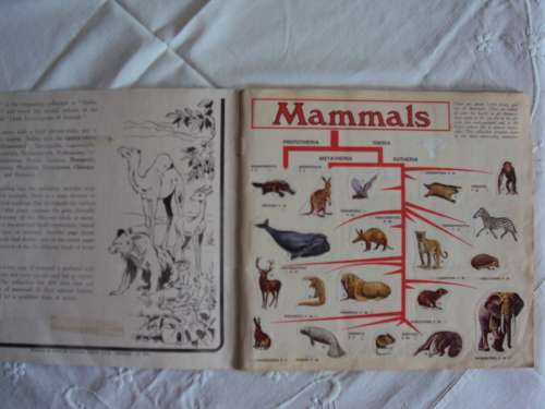 MAMMALS 1978 Vintage Panini Sticker album Complete firmly bound soft cover booklet