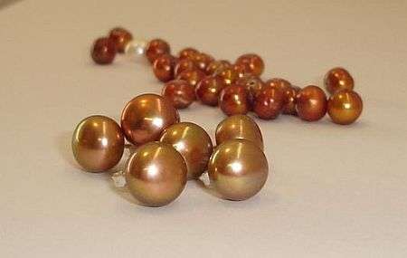 MARYKAY - 8mm COPPER / GOLD FRESHWATER PEARL EARRINGS IN .925 STERLING SILVER -  LOVELY GIFT