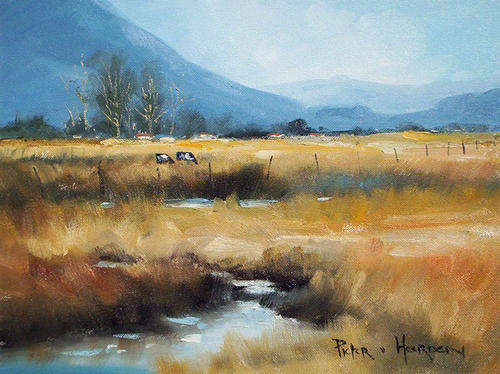 Spruit (300mm x 400mm)