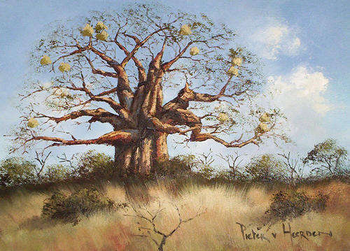 Boabab tree (300mm x 400mm)