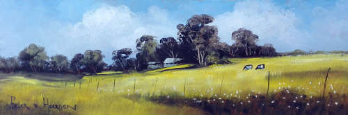 Plaastoneel 2 (155mm x 460mm)