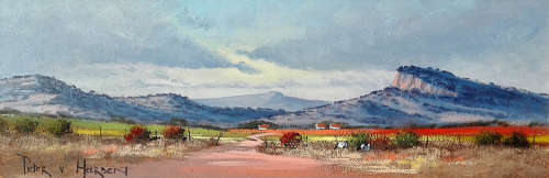 Karoo scene 1 (155mm x 460mm)