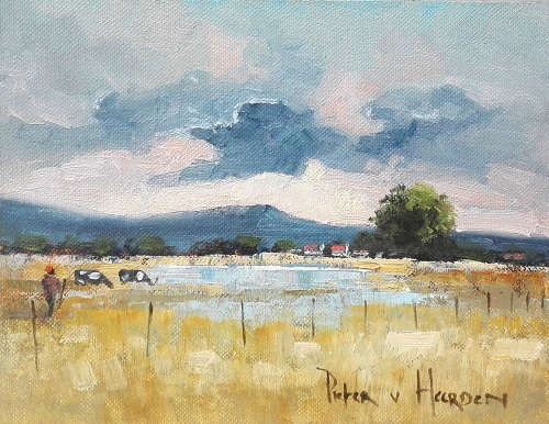 After the rain (200mm x 250mm)