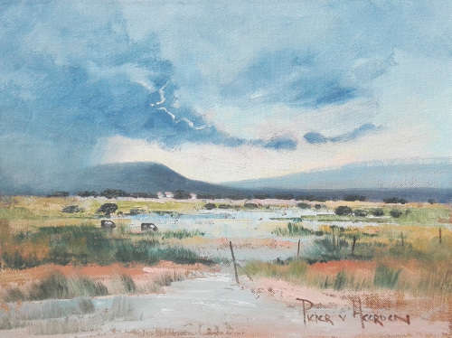 After the rain (300mm x 400mm)