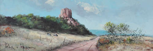 Die klipkoppie (160mm x 460mm)