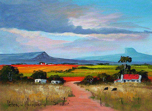 Spitskop (300mm x 400mm)