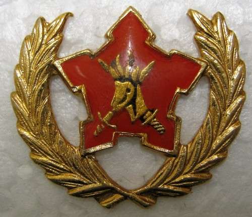 SADF ARMY VOLUNTEER 5 YEAR SERVICE BREAST BADGE WITH PINS IN GOOD CONDITION