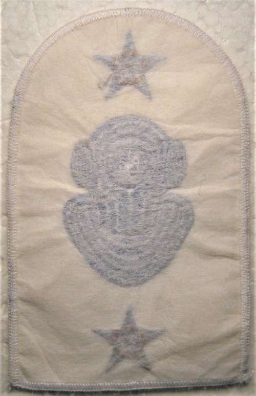 OLD S.A. NAVY DIVER PART 2 SUMMER UNIFORM SOULDER TITLE IN UNUSED CONDITION