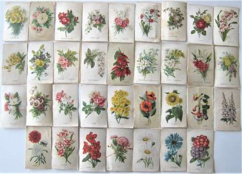 34 OF 50 OLD WESMINSTER CIGARETTES SATIN COVERED `GARDEN FLOWERS OF THE WORLD` CARDS