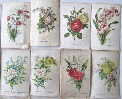 34 OF 50 OLD WESMINSTER CIGARETTES SATIN COVERED `GARDEN FLOWERS OF THE WORLD` CARDS