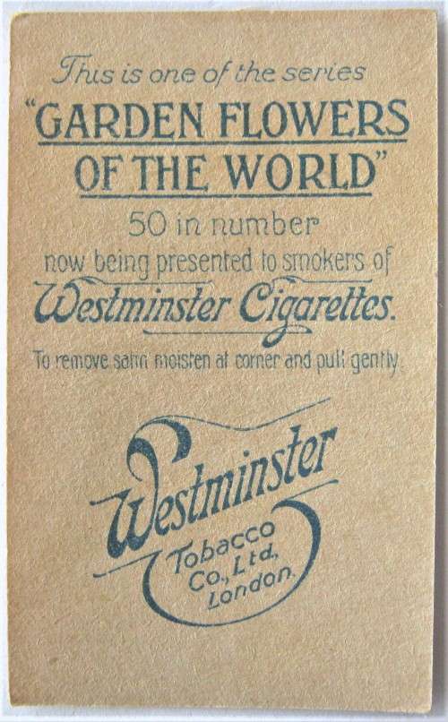 34 OF 50 OLD WESMINSTER CIGARETTES SATIN COVERED `GARDEN FLOWERS OF THE WORLD` CARDS