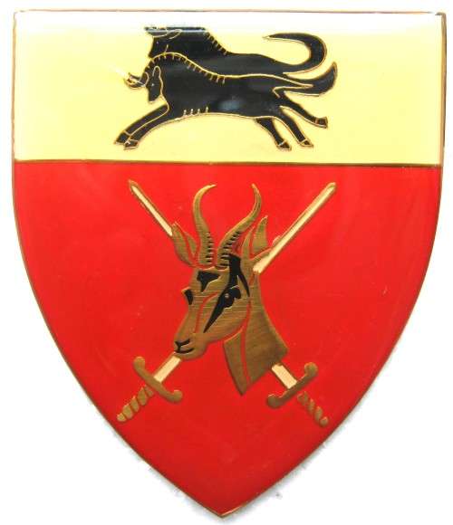 NATAL COMMAND GOLD TYPE FLASH WITH PINS IN VERY GOOD CONDITION