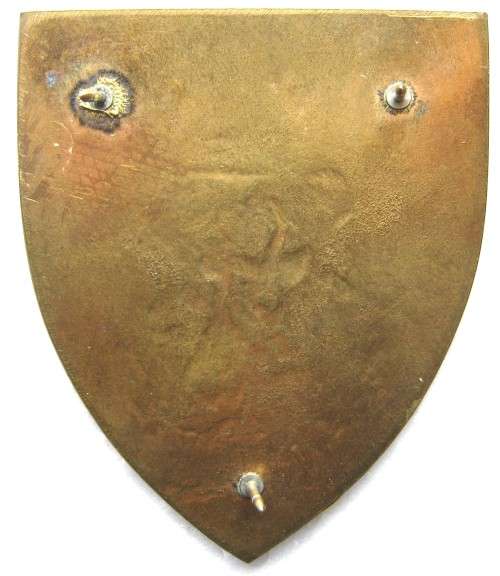 NATAL COMMAND GOLD TYPE FLASH WITH PINS IN VERY GOOD CONDITION