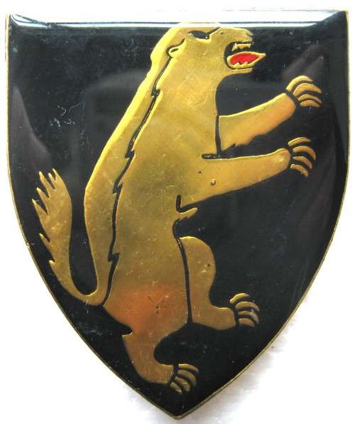 OLD S.A.D.F. 1 S.A. INFANTRY BATTALION RH FLASH WITH 3 PINS IN GOOD CONDITION