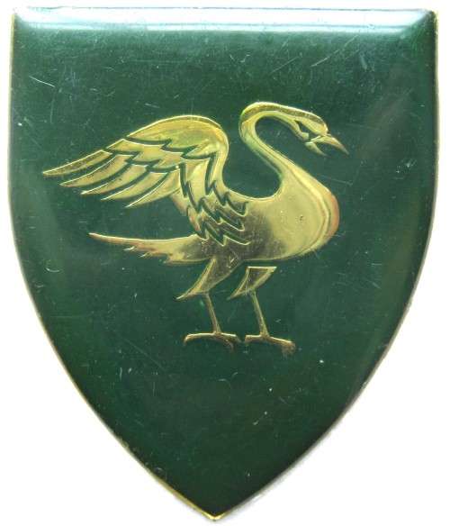 OLD S.A.D.F. REGIMENT SPRINGS RH FLASH WITH NO PINS IN GOOD CONDITION