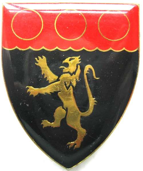 CAPE FIELD ARTILLERY LH FLASH WITH PINS IN GOOD CONDITION