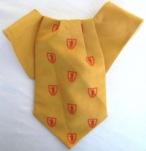 OLD SADF ARMY BATTLE SCHOOL CRAVAT IN GOOD CONDITION