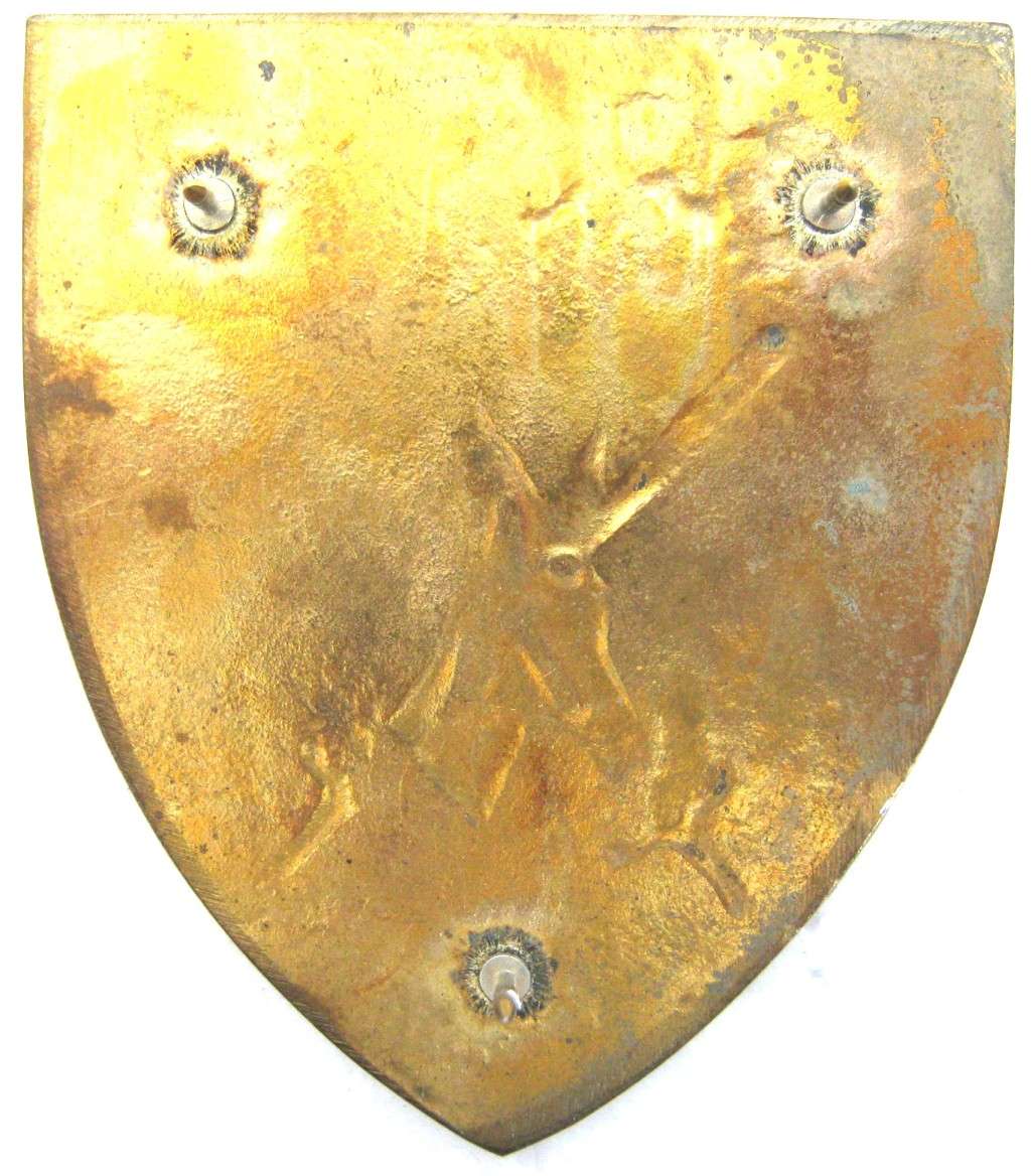 ORANGE FREE STATE COMMAND GOLD TYPE FLASH WITH PINS IN GOOD CONDITION