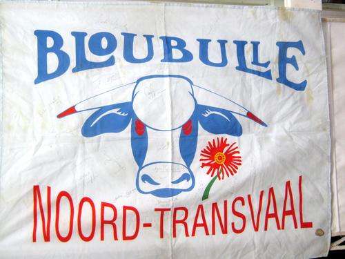 1997? BLOUBULLE SUPPORTERS FLAG SIGNED BY 18 PLAYERS INCLUDING - CAMPHER, TROMP, SNYMAN, GROBBELAAR