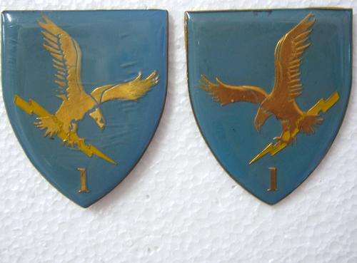 PAIR OF CISKEI 1 BATTALION CISKEI FORCES FLASH WITH PINS AND CAPS