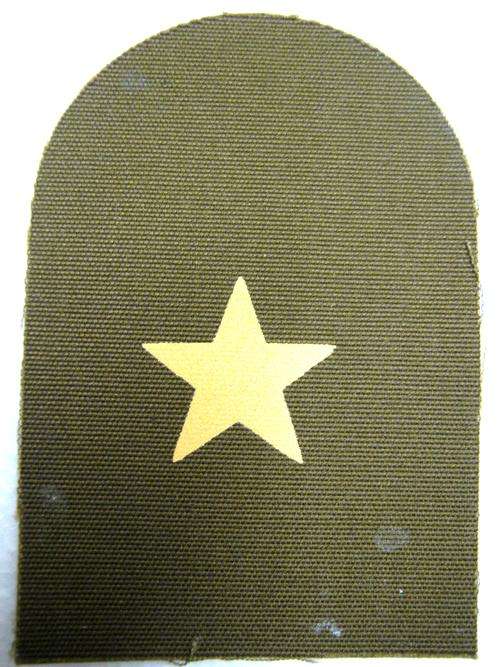 OLD S.A. MARINES ABLE SEAMAN PRINTED PATCH AS NEW