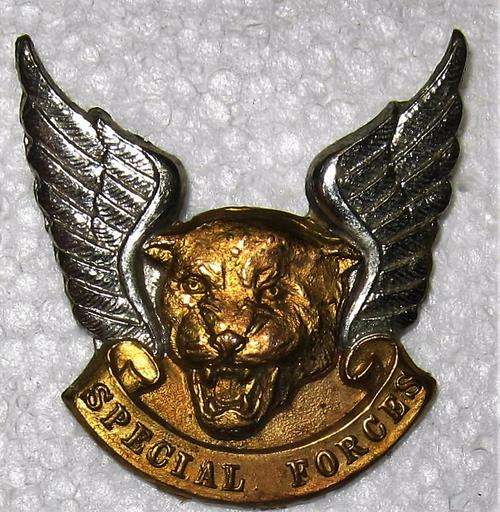 TRANSKEI SPECIAL FORCES BERET BADGE - NO PINS OTHERWISE GOOD CONDITION