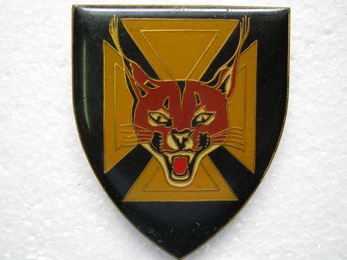 7 SAI BATTALION FLASH WITH PINS AND CAPS