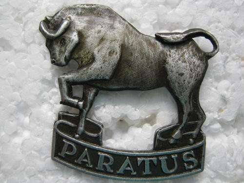 S.A. ARMY COLLEGE CAP BADGE - With lugs no nuts