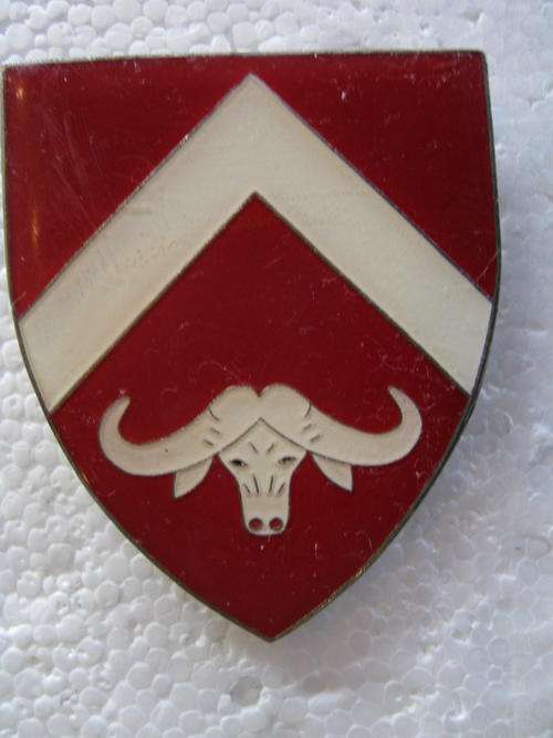 SENEKAL COMMANDO 2ND ISSUE FLASH - WITH 2 PINS ONLY