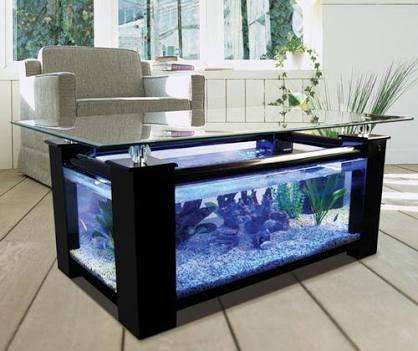 Coffee table fish tank