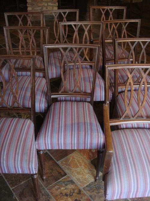 Set of Ten Antique Dinning Chairs   (Excellent Condition)         R16 000