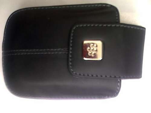 Black blackberry Pouch