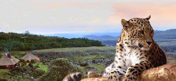 4 - 7 June '10 at top RCI Resort Crystal Springs for only R850 per night starting bid