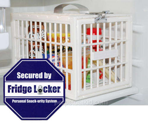 FREE SHIPPING - FRIDGE LOCKER Safely Store Food, Medication, Chemicals etc Use In Fridge or Cupboard