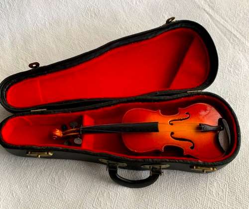 Wooden violin in case