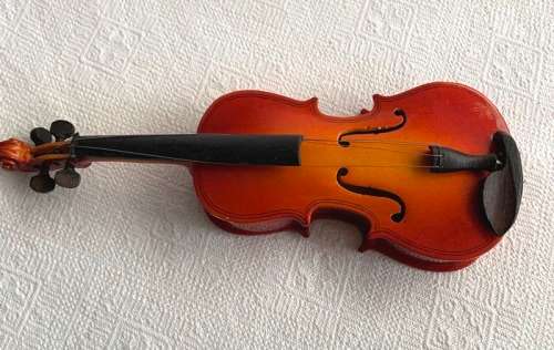 Wooden violin in case