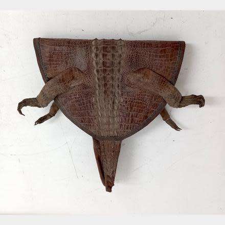 GENUINE PRESERVED CROCODILE BAG