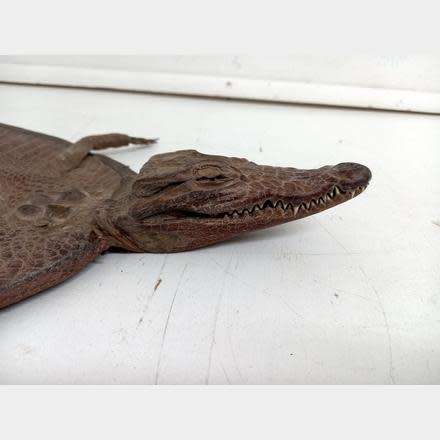 GENUINE PRESERVED CROCODILE BAG