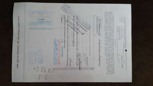 Grand Union Company, Stock Certificate, 1969, 100 Shares