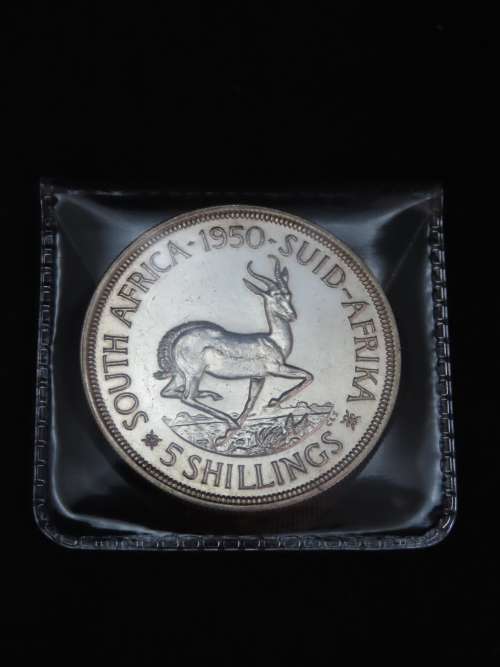 Clear Plastic Coin Envelope, per bundle of 10 , pocket , wallet, sleeve