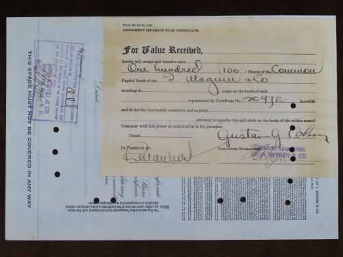 1930 I Magnin & Company , Stock Certificate, 100 Shares, SC972