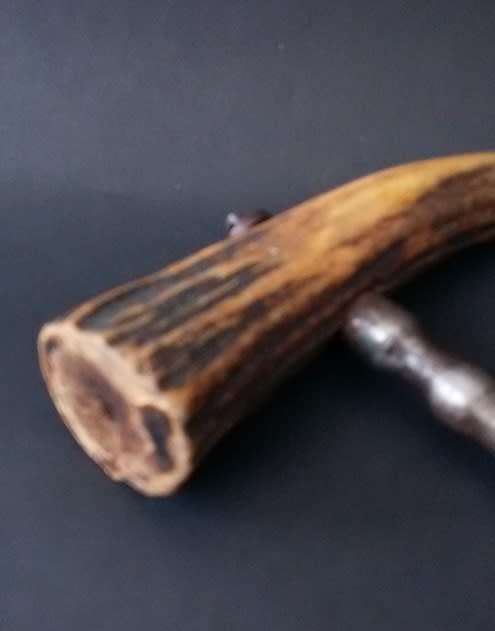 Stunning bone handled cork screw
