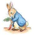 Peter Rabbit - Set of 4 Educational Books!!!