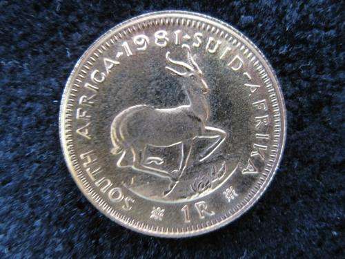 1981 R1 Gold @ R Start