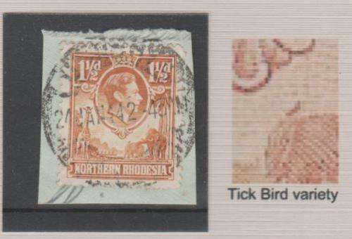 NORTHERN RHODESIA, SG30b, FINE USED, 1 AND A HALF PENNY YELLOW, TICK BIRD VARIETY, ROW 7/1, SEE SCAN